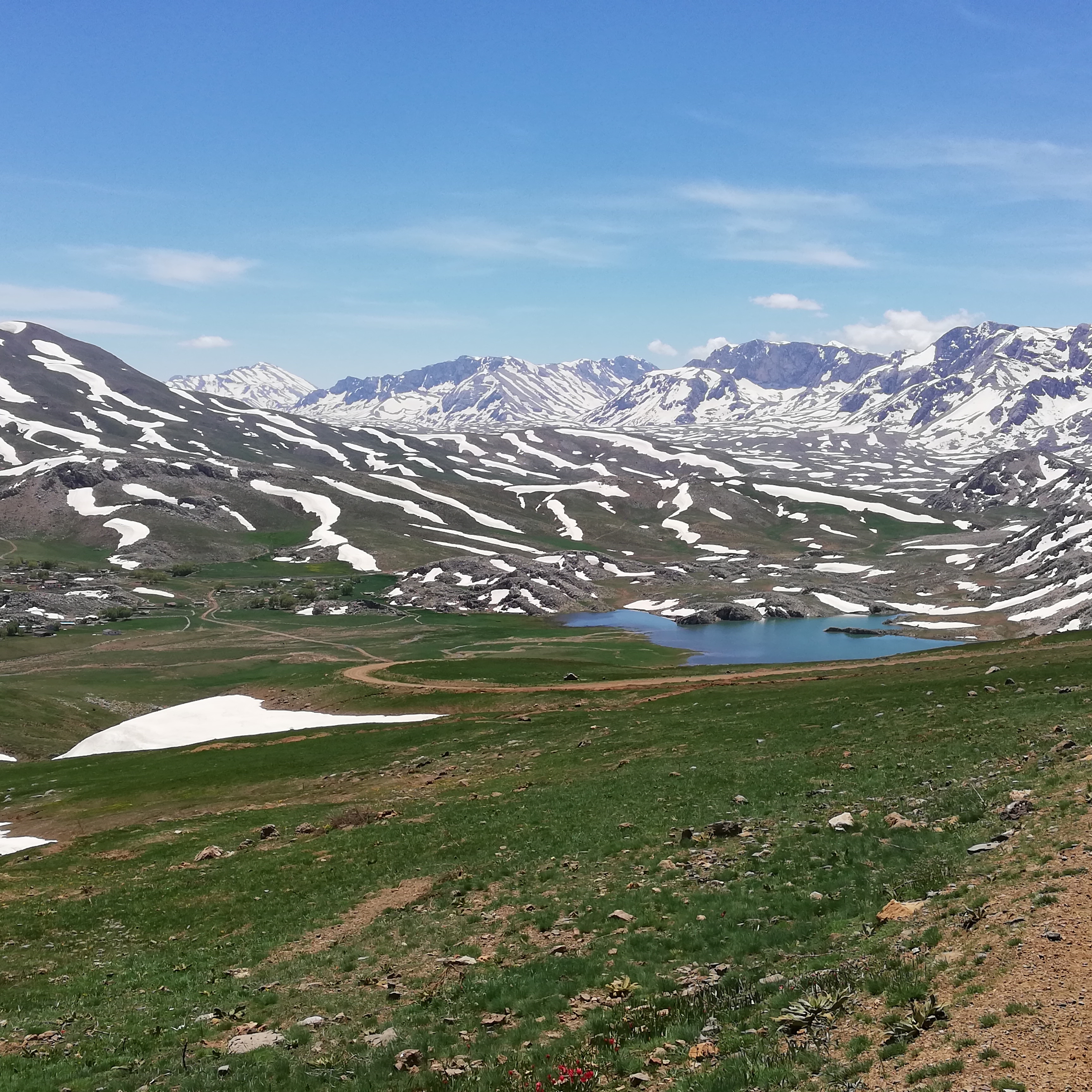 IMG_20200318_094110_612