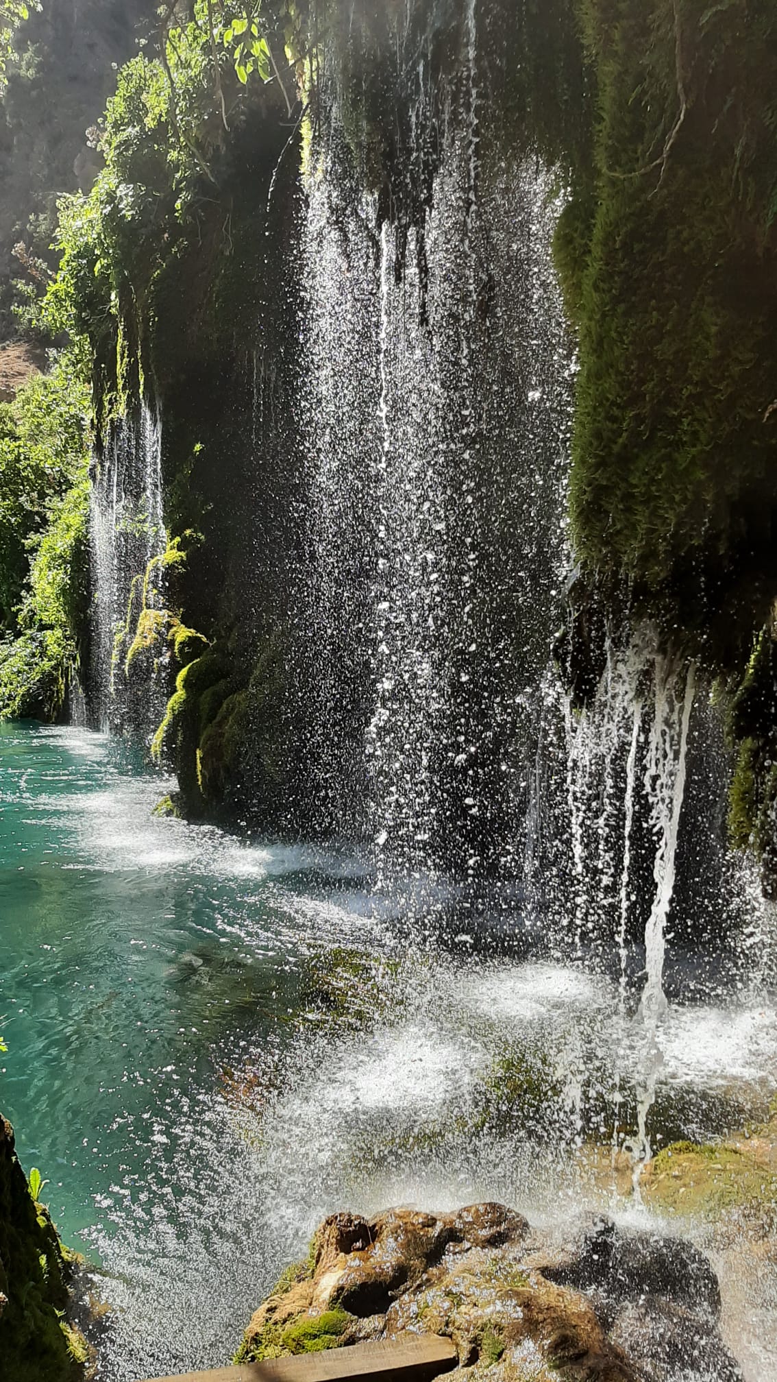 WhatsApp Image 2024-08-15 at 22.45.24 WhatsApp Image 2024-08-15 at 22.45.24