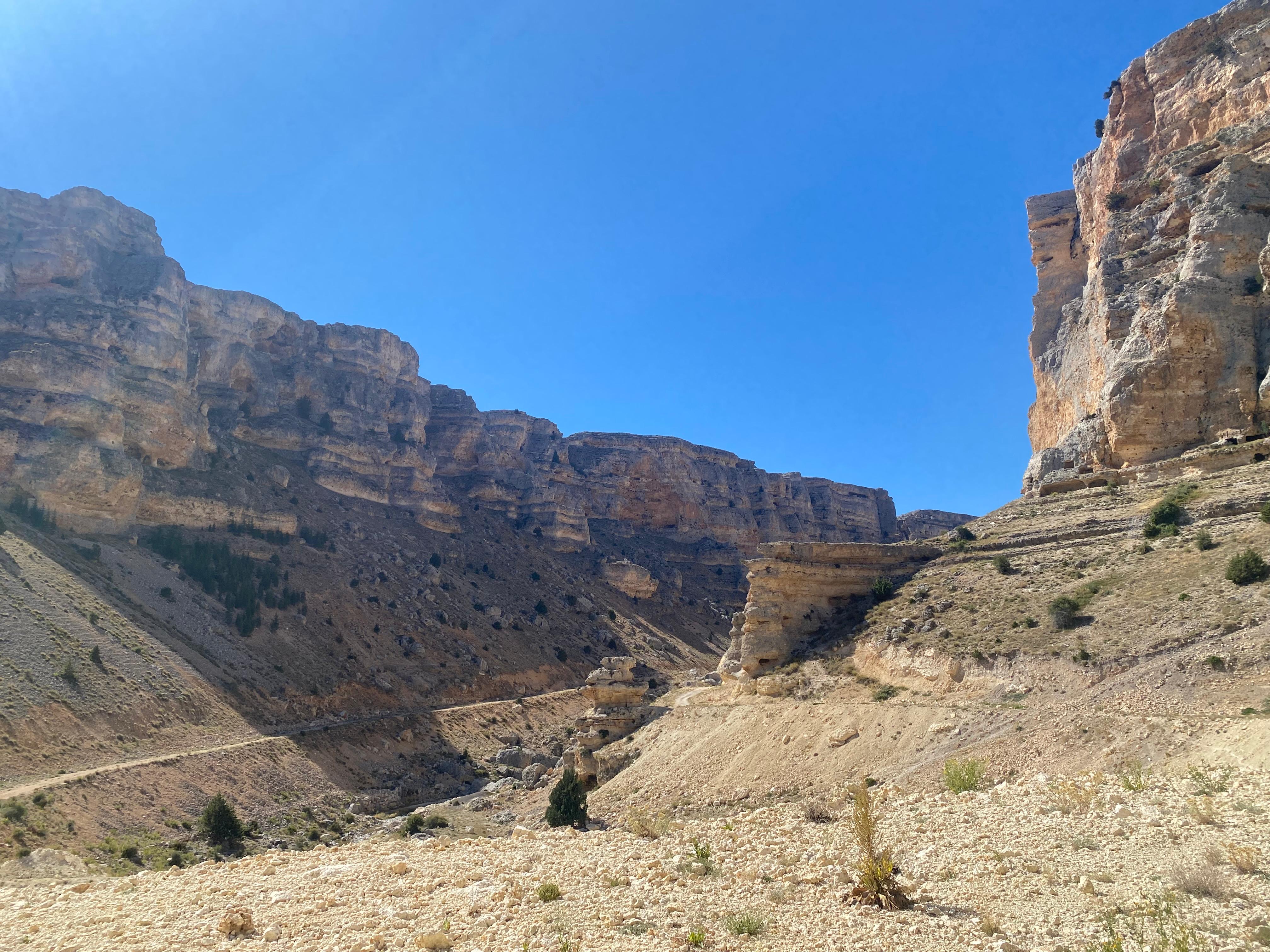 WhatsApp Image 2024-08-17 at 18.22.55 (2) WhatsApp Image 2024-08-17 at 18.22.55 (2)